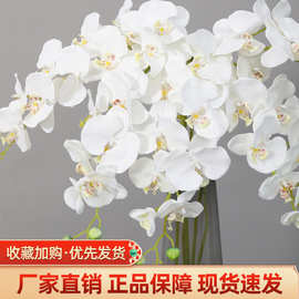 蝴蝶兰仿真花束高级感假花婚庆用花婚礼堂装装饰人造花蝴蝶兰绢花