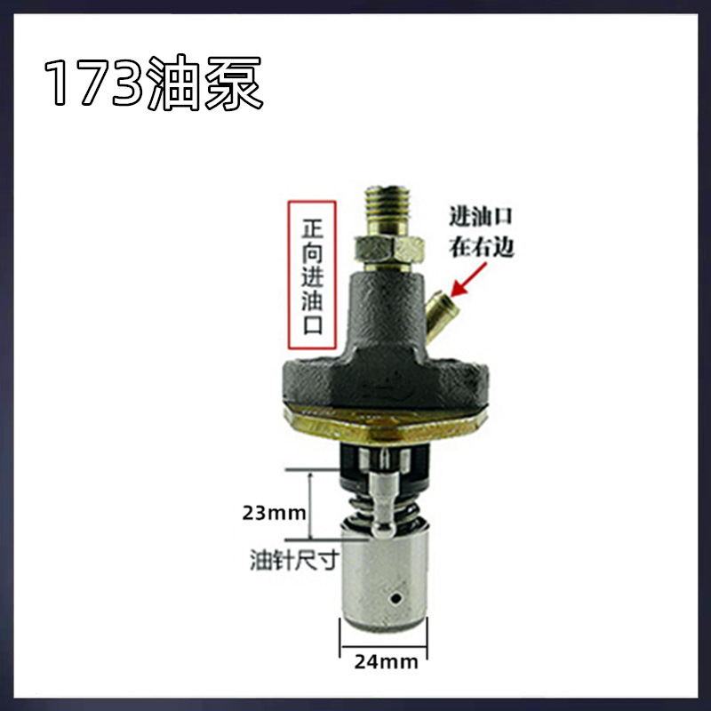Conjunto de boquilla de bomba de inyección de combustible de accesorios de Sierpe diesel refrigerado por aire 173F178F186FA192F195 inyector de combustible