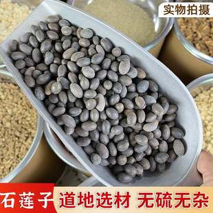 ʯɏ����ș����Ʒ��ʯɏ��ɏ�����r��؛��Ƥ��ɏ�������p�I��