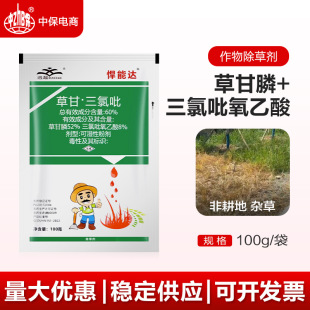 �����_�ݸ�� �������������s�ݹ�ľ����ţ����R�X�{�rș���݄�