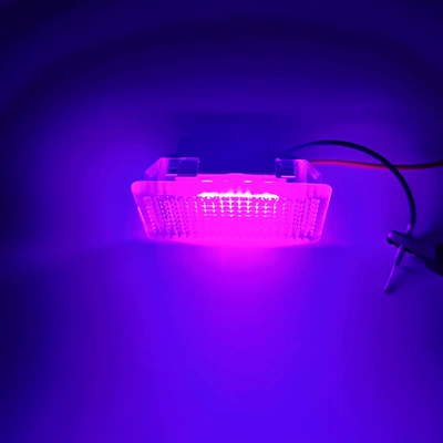 License plate lamp Footwell Lights, Tail Box Lights - pink-purple