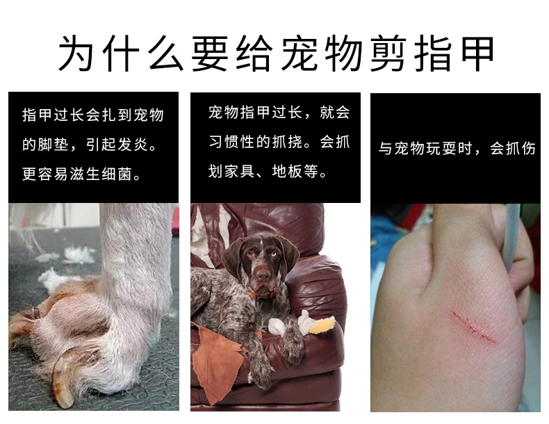 宠物指甲钳_02.jpg