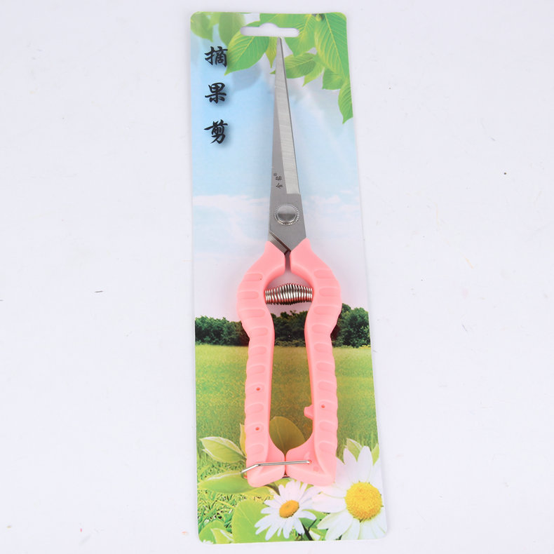 Diamante de oro tijeras de frutas delgadas tijeras de codo tijeras de frutas delgadas tijeras de frutas delgadas tijeras de jardín tijeras de recolección de uva tijeras de recolección de frutas