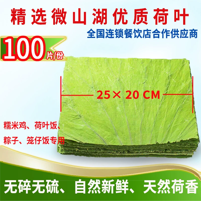 Желательно свежий лист лотоса весь пакет Zongzi лист лотоса чай Паровая клетка бумага Паровая подушка для хлеба маленький лист лотоса клейкий рис курица сушеный лист лотоса рис