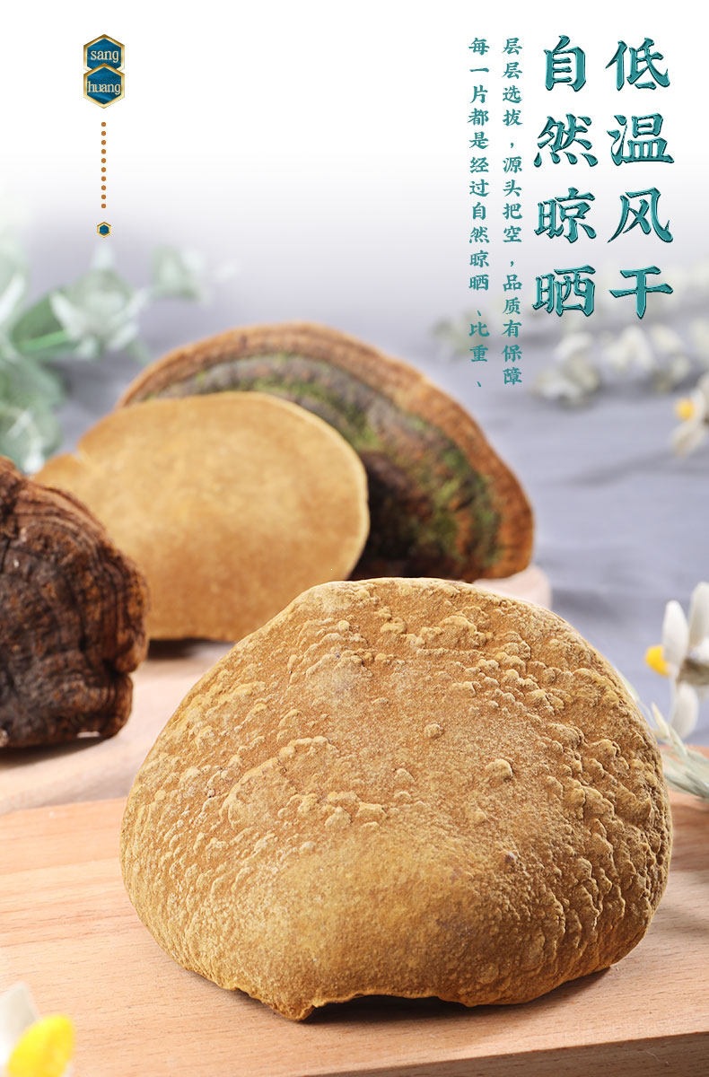 Sang Huang Mulberry Yellow Phellinus Mushroom with Ling Zhi Slices Herbal Tea Set 125g Plus 40g Jars quality and texture