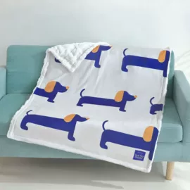 其他毛毯;绒毯;法兰绒毯