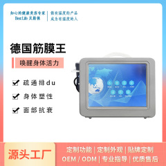 ドイツ筋膜王超音波理学療法器 ブラックテクノロジー ポイントマトリックス筋膜機器 経絡組織修復 美容と健康