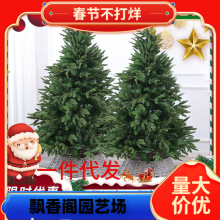 һ�����l����}�Q�����������Ų���ɼ�������Zؐ���}�Q�����