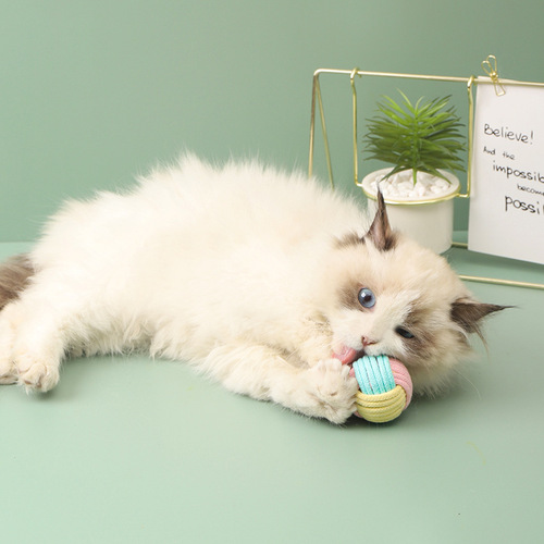 Wholesale creative funny cat fur ball handmade cat cotton ball plush to relieve boredom and self-pleasure training pet teeth grinding interactive toys