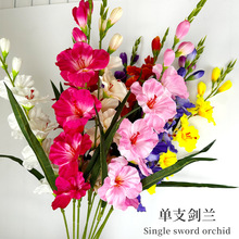 仿真单支剑兰花束绢布婚庆客厅摆放摄影道具典礼花篮园林艺造景花