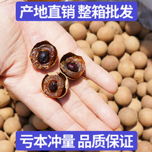 ��؛12A���A����AA����20��ɢ�b ����С�������۸����l���`��