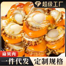 特大扇贝肉2040鲜冻扇贝肉特级扇贝带黄新鲜速冻扇贝商用批发代发