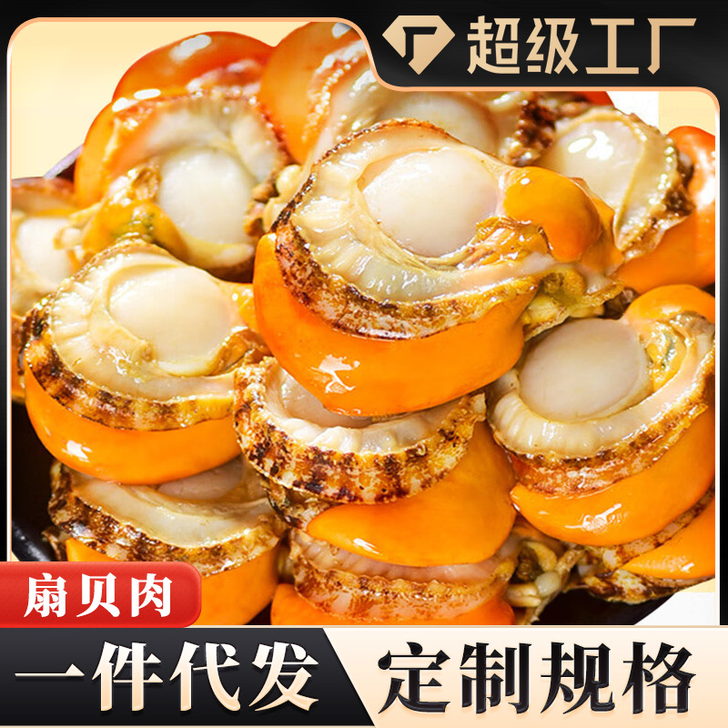 特大扇贝肉2040鲜冻扇贝肉特级扇贝带黄新鲜速冻扇贝商用批发代发