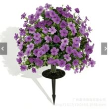 ���tk����������_�m�ز廨ͥԺ�Ҿ�����Gֲ�b��@�b�