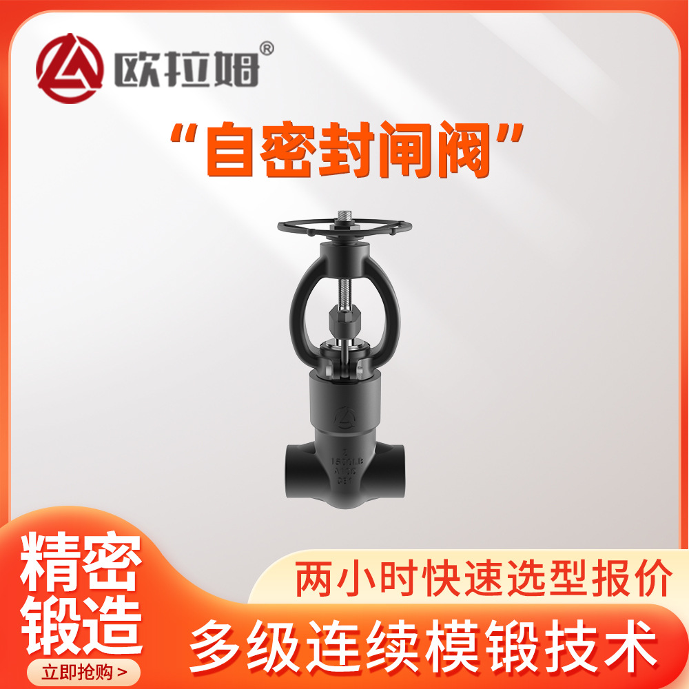 自密封闸阀厂家 PZ61Y型号 美标小口径 楔式单闸板结构 欧拉姆