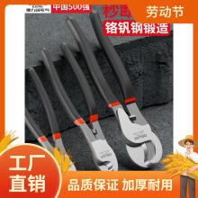 ��������|���������Q�����Q늹����ߔྀ�Q6������{�~����