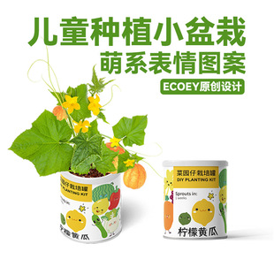 ecoey��ͯ�Gֲ���^ä�зNֲ����С�������ֲ�����㻨��С���r