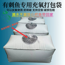 ���~���Ӻ�����Ʒ����������\ݔ����������\���д��~�Z�~�����