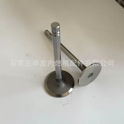 Valves and components 6D125 intake valve