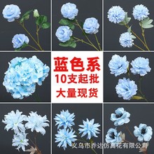�{ɫ���滨��c��Ʒ�ٻ����߻�Y����·�������b��F���{���滨��