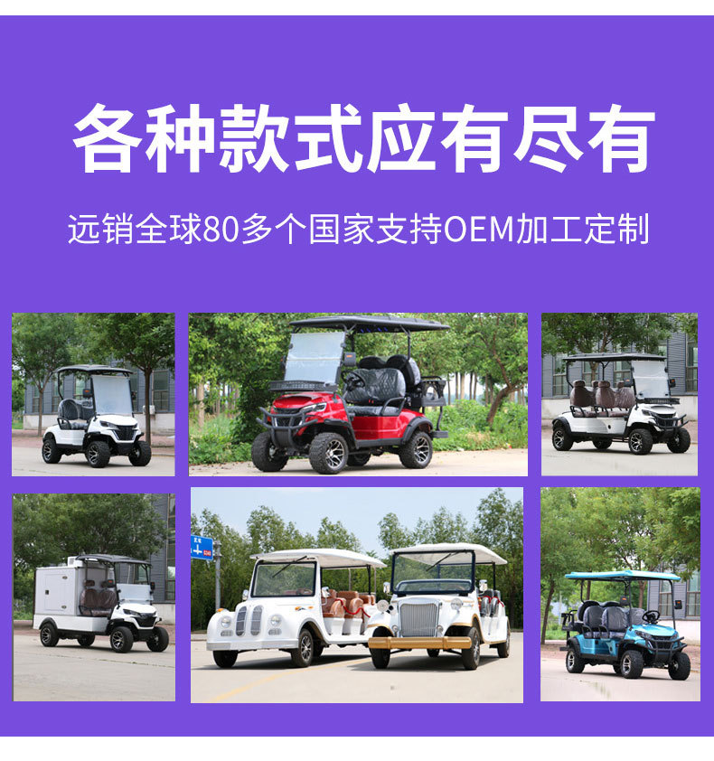 Enclosed Box-Type Four-Wheel Cargo Truck, Multi-Door Electric Truck, Small Foreign Trade Export Van, Electric Food Delivery Truck