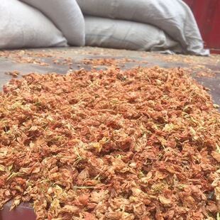 ��̫��.Դ�^���l�����_�h�����t�������򻨻���a��ֱ�l�r��