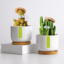 �GֲС���������������҃���������⻨��ֲ���k����������B�[��