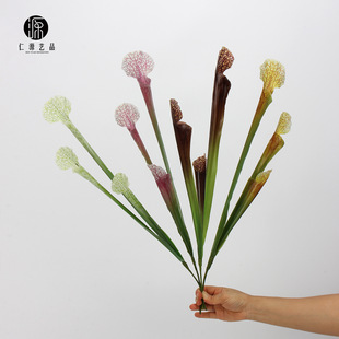 ���Sֱ�N ƿ�Ӳ��i�\�� ���滨ֲ������쾰��ˇ�Ҿ��OӋܛ�z�~��