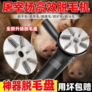 ���׌��ù��iëţ��ëĥ��C늄ӽ�ĥ�C���P䓹�ë���PÓ�ië����