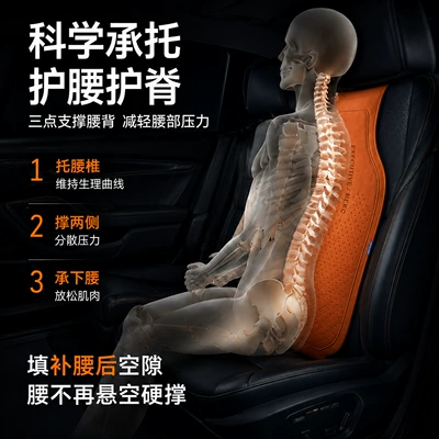support cushion, and a massage pad — Seat cushion, seat cover