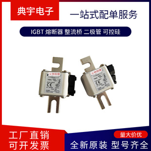 Fuse 170m4118 4119 4138 4139 4140 4141 4142 4143 Complete Models