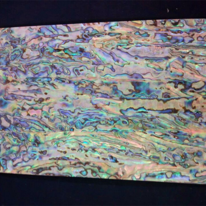 新西蘭A級鮑魚紙140X240MM新西蘭鮑魚貝紙