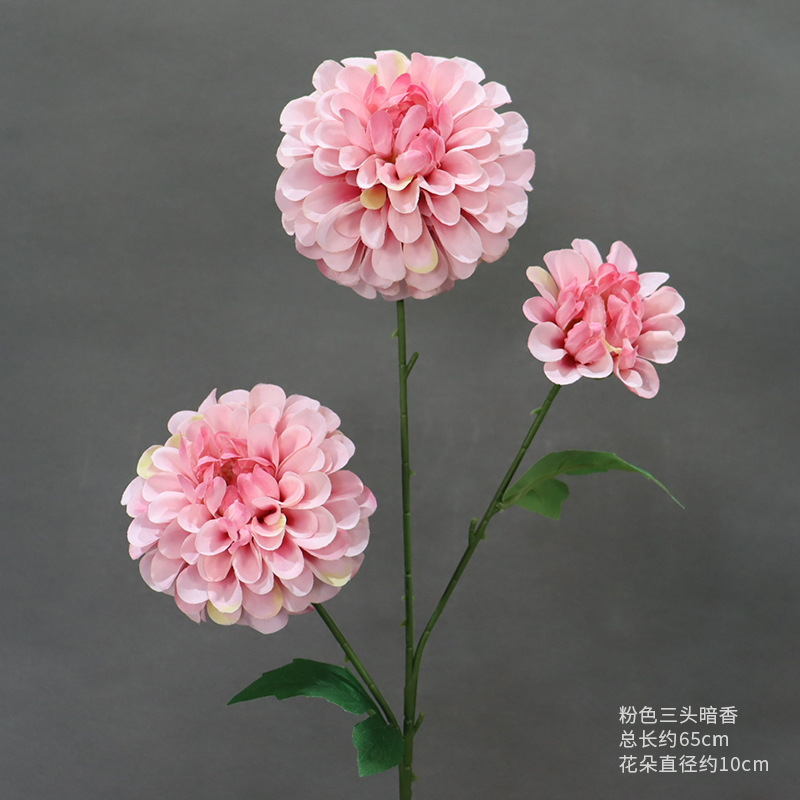 분홍색 삼두 향기