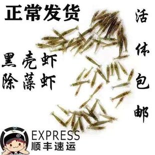 �ښ��r������r�^�p�r�����坍�r����r���wˮ�����~���쾰Ԓ�r