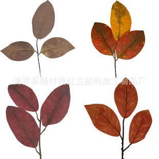 �S�����l�羳��������~���m�~����~���控�F���Gֲ���h���