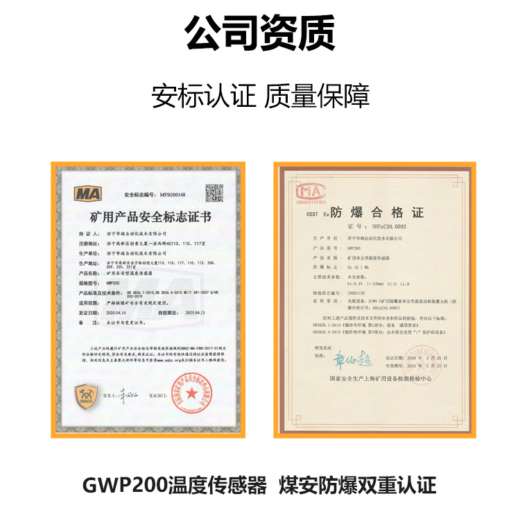 07 GWP200温度传感器.jpg