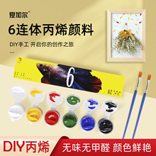 夏加尔六连体丙烯颜料定制批发DIY手工上色绘画涂色连体丙烯颜料