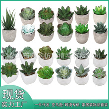 ӆ�ƿ羳����Gֲ���b �҃ȼҾ��b�Ʒ�ٶ����������DIY����ֲ��