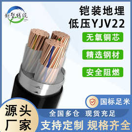 国标YJV/YJV22 0.6/1KV铜芯电缆1 2 3 4 5芯10～300平方电 力电缆
