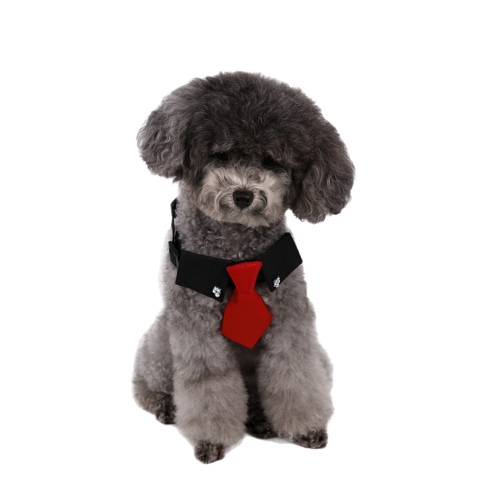 Perro transfronterizo estilo británico guapo traje de boda ropa de perro corbata collar decoración al por mayor