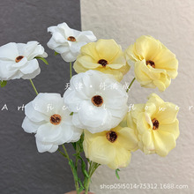 �Wʽ4�^������ĵ����c�û����N�zӰ�����b��ֹ��ٻ��廨���滨