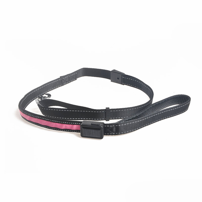 Dog Luminous Collar Image 3