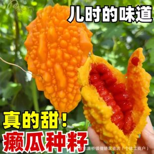 С�]�ϷN��ه���ѷN�����ٽ�����ļ����N�̨�����߲�ˮ���N��