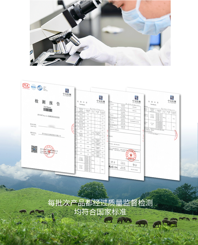 BrowserPreview_tmp_09