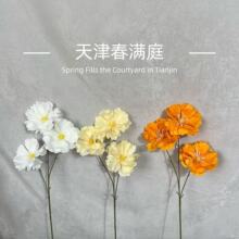 ��c����3�^�{ϫ�� ��Y�ò廨·���ҾӲ����zӰ�[�����÷��滨