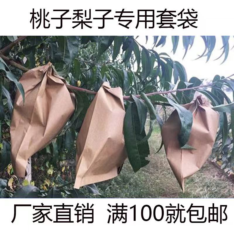 微信图片_20250214152025