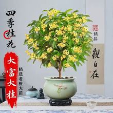 �𻨘����ļ��������҃��̨���B��ʳ���ͺ�ͥԺ�Ϙ������ͻ���