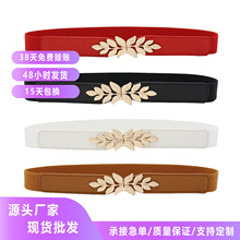 新品简约百搭小树叶对扣装饰连衣裙松紧细腰封束腰修身弹力腰带女