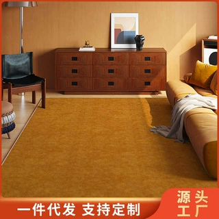 客厅地毯高级感中古风纯色书房地垫卧室床边毯加厚可批发圈绒脚垫
