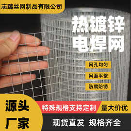铁丝网加粗加厚热镀锌电焊网卷养殖围栏建筑防裂石笼网焊接网格片